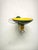 Luna Wall Light from Philips, 1980s For Sale - Image 9 of 15
