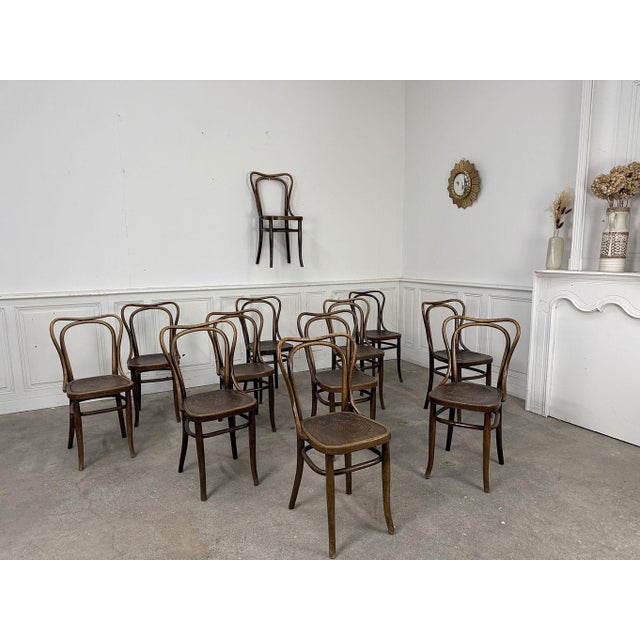 Bistro Chairs from Thonet, 1920, Set of 12 For Sale - Image 9 of 9