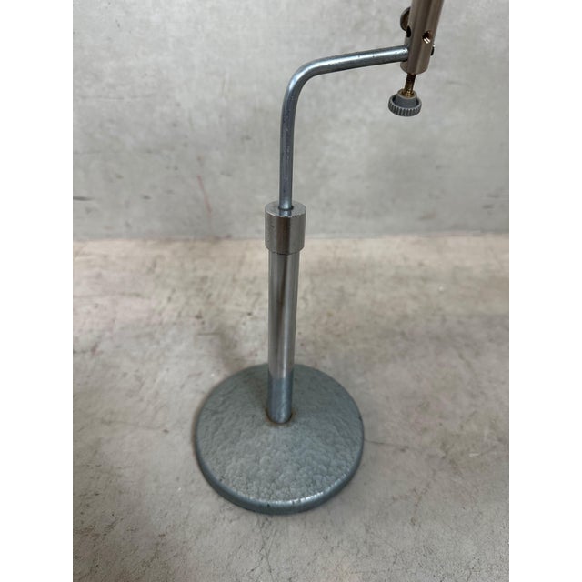 Vintage Didactic Model Cinhelium from F. Cambier, 1920s For Sale - Image 10 of 11