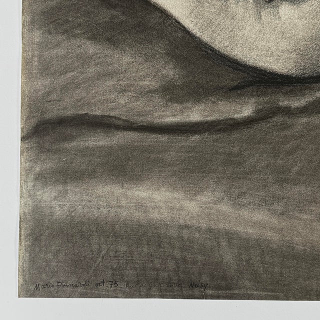 Vintage Italian Realist Still Life of a Cow Skull, Signed (Charcoal on Wove Paper) For Sale - Image 4 of 6