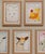 Illustration Baby Animals by Tatiana Alida - Set of 9 A4 Prints For Sale - Image 3 of 3