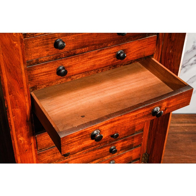 Brown Amazing Antique Wellington Cabinet 19th Century English Wooden 10 Drawer Chest Collector Storage English Home Decor For Sale - Image 8 of 17