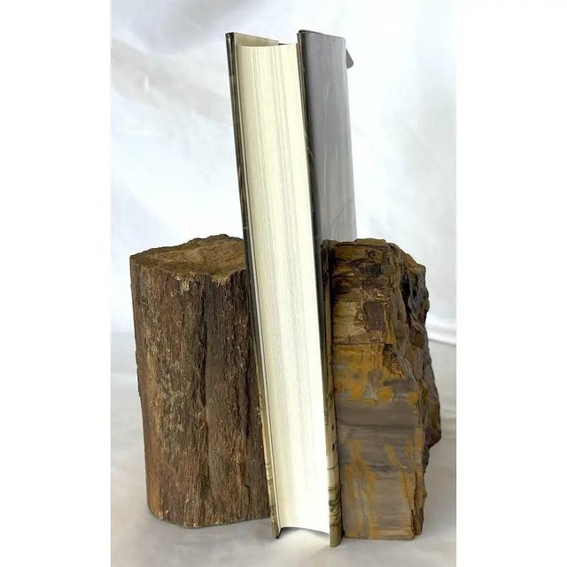 Rustic pair of coordinating mismatched petrified wood bookends. There's so much cool detail to each and they're heavy like...