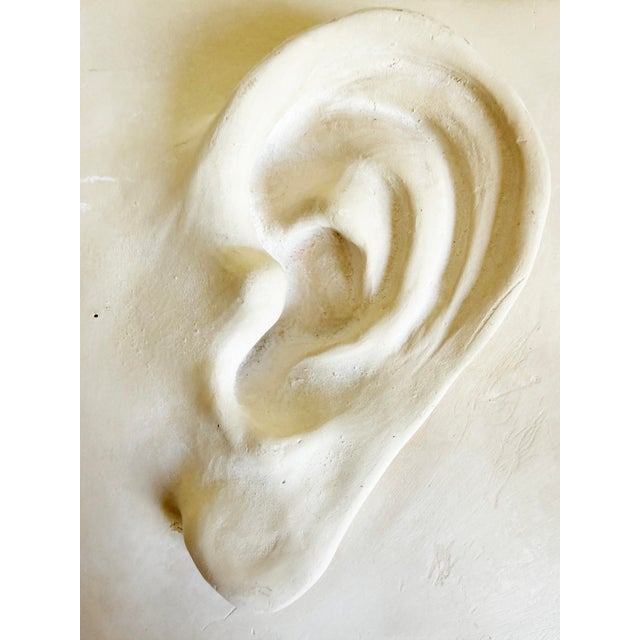 Late 20th Century Vintage Plaster Relief of Ear For Sale - Image 5 of 9