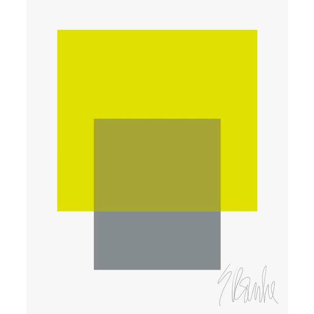 The Interaction of Lime Green and Gray Fine Art Print 45" X 55" by Liz Roache For Sale In Boston - Image 6 of 6