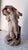 Rococo 18th-Century Courting Couple Sharing a Parasol Under Pastel-Colored Period Attire. Glazed and Matte Porcelain Figurine For Sale - Image 3 of 15
