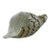 Vintage Murano Style Art Glass Conch Seashell 9.5" Hand Blown Nautical Decor Figurine For Sale