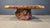 Freeform Coffee Table in Elm, 1970s For Sale - Image 10 of 15