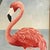 Vibrant coastal painting by Shirrell Graves featuring a graceful pink flamingo standing along a sandy shoreline, framed by...