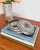 Metal Pewter Lidded Trinket Box by Just Andersen, 1930s For Sale - Image 7 of 13
