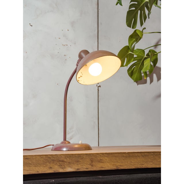 Bauhaus Brown 6556 Table Lamp from Kaiser Idell / Kaiser Leuchten, 1940s For Sale - Image 12 of 14