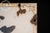 Early 20th Century “Columbia” Bicycles SSP Storefront Sign For Sale - Image 9 of 12