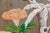 Wood Framed Late 19th Century Hand-Painted Chinoiserie Wallpaper Panel For Sale - Image 7 of 11