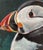 Paper “Puffin” Original, Acrylic Sea Bird Painting by Linda McDonough For Sale - Image 7 of 8