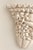 Chinoiserie Vintage Coastal Coral and Seashell Wall Bracket Sconce C 1970's For Sale - Image 3 of 6