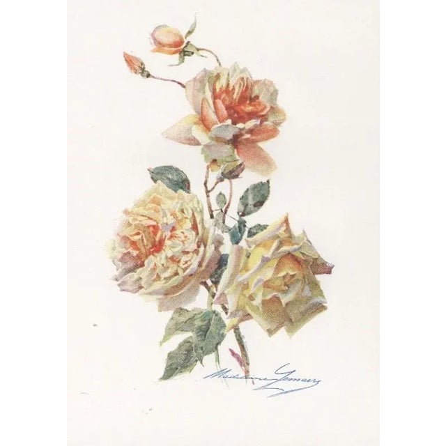 This is a RARE SET of 2 c1910 French antique aquarelle botanicals that we recently purchased from a French collector of...