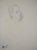 Marie LAURENCIN seated man Original pencil drawing Signed with the artist's stamp On paper 13.5 x 14.5 cm Very good...