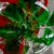 Joe St Clair Art Glass Mini Teapot Red Floral Controlled Bubble For Sale In Portland, OR - Image 6 of 10