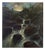 Unknown Artist, Waterfall Painting, Oil on Canvas, 19th Century For Sale