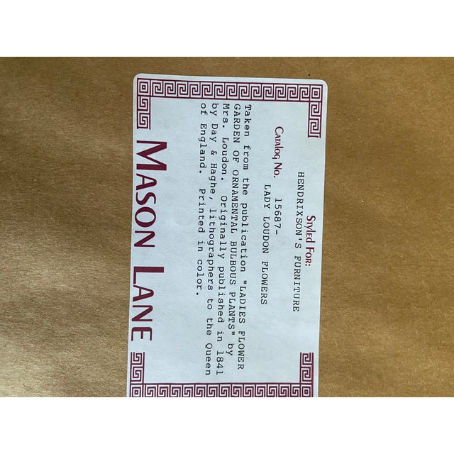 English Botanical Print For Sale - Image 3 of 4