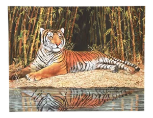 Caroline Schultz, "Reclining Tiger", Photorealist Animal Print