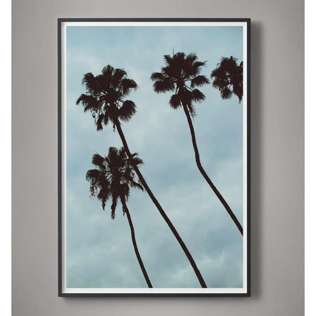 Palm Sky (Blue) Photograph For Sale - Image 4 of 4