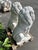 2000 - 2009 Classical Seated Lion Garden Statues in White Cast Stone, Set of 2 For Sale - Image 5 of 13