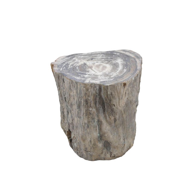 This distinctive petrified wood side table is carved from a solid fossilized tree trunk and forms part of a set, with the...