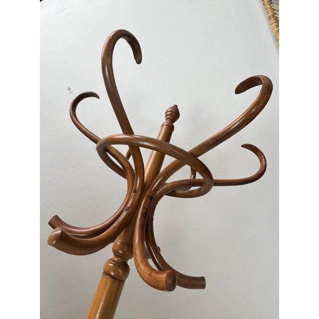 Free Standing Coat Rack in the style of Thonet, 1950s For Sale - Image 6 of 15