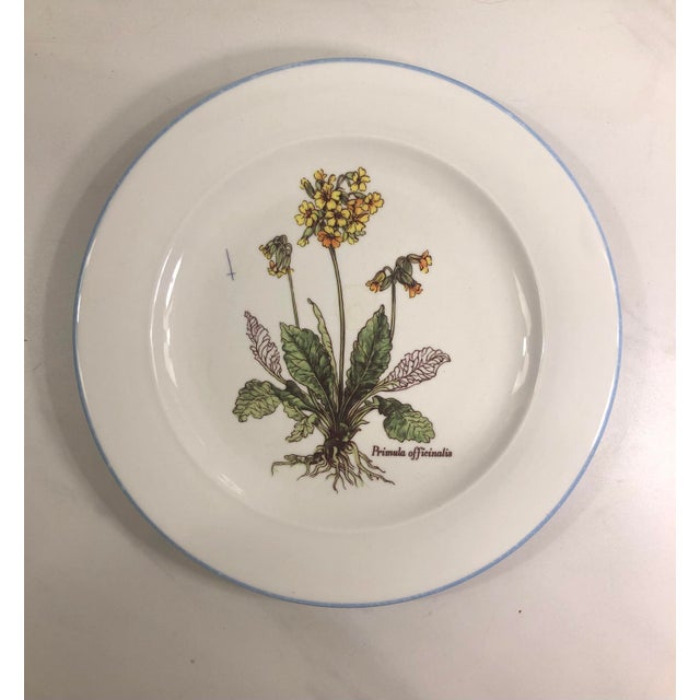 Italian Ceramiche Floral Decorative Plates (Set of 4) For Sale - Image 4 of 8