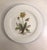 Italian Ceramiche Floral Decorative Plates (Set of 4) For Sale - Image 4 of 8