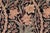 Shabby Chic 1990's Daffodils Pak-Persian Black/Tan Wool Rug - 9'0'' X 12'1'' For Sale In New York - Image 6 of 9