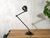 Industrial Two-Arm Machine Lamp on Brake Disc Base from Philips, Netherlands, 1940s For Sale - Image 14 of 16