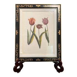 Vintage Chelsea House Tulip Flower Botanical Lithograph Framed For Sale