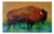 Monika Rossa, Bison, 2026, Oil on Canvas For Sale