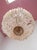 1950s French Chandelier in Bronze and Crystals, 1950 For Sale - Image 5 of 7