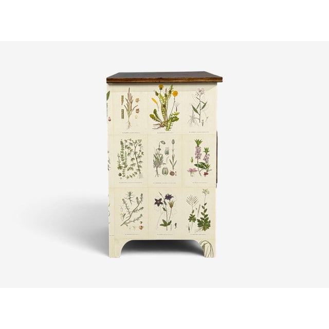 Swedish Modern, Nordens Flora Dresser, Brass, Floral Lithographs, Sweden, 1930s For Sale - Image 13 of 14