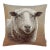 Wooliam Sheep Woven Cushion With Feather Filler - 42x42cm (17"x17") For Sale