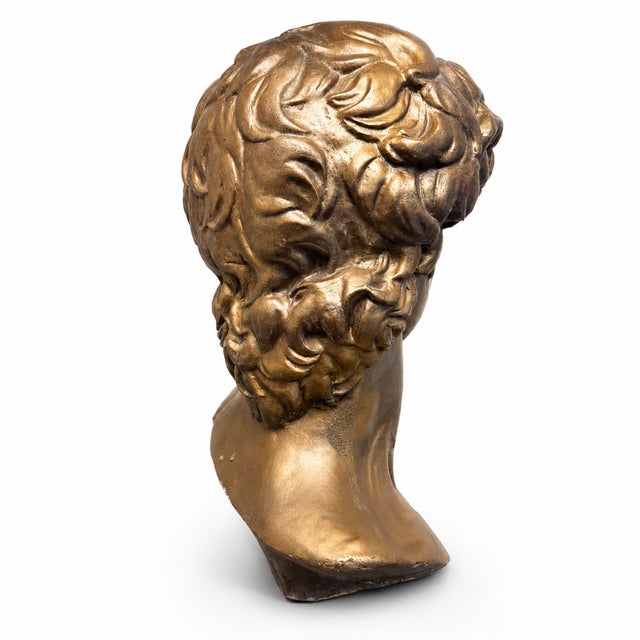 The Uncrowned King | Cast Stone David Bust, Styled After Michelangelo For Sale In Detroit - Image 6 of 8