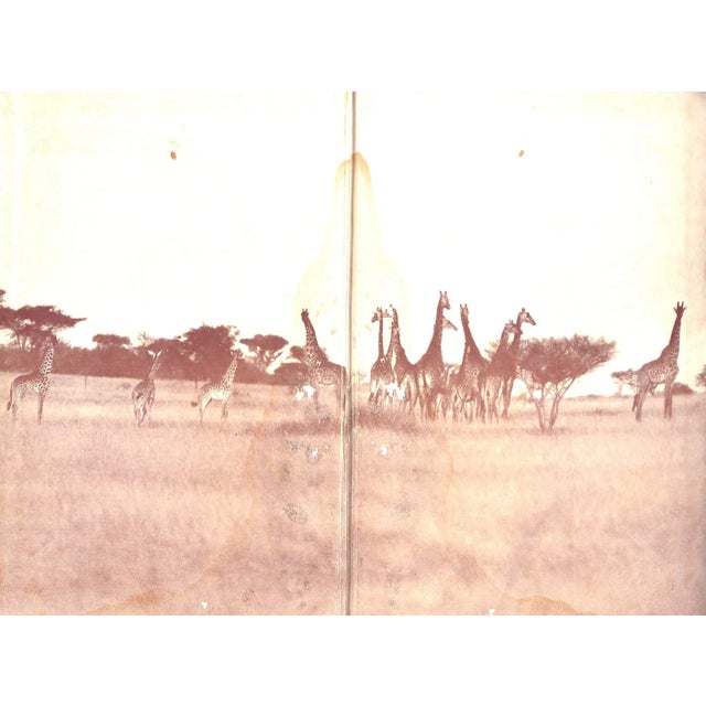 1940s "I Married Adventure" 1940 Johnson, Osa For Sale - Image 5 of 13