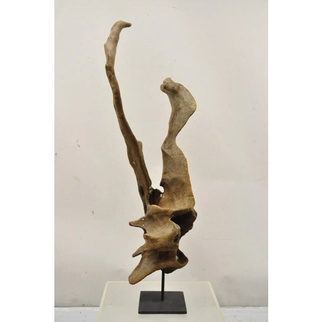 Abstract Vintage Abstract Sculpted Wood Sculptural Free Form Table Sculpture For Sale - Image 3 of 12