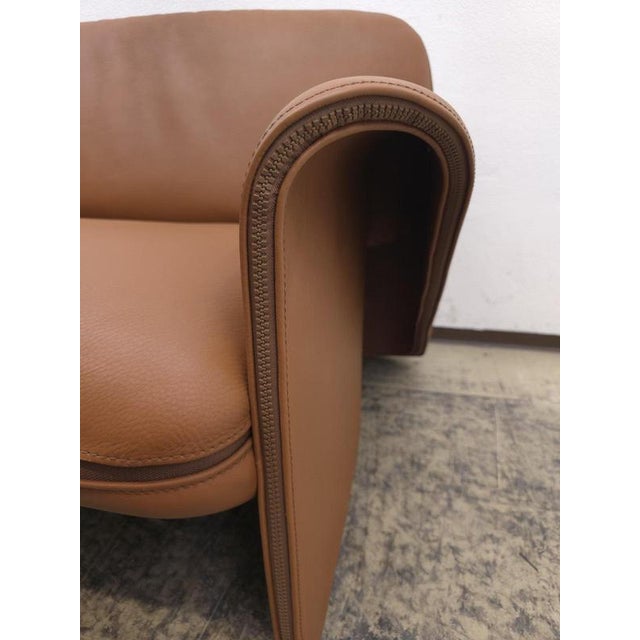 DS-125 3-Seater and 2-Seater Sofa in Brown Leather by Gerd Lange for de Sede, Set of 2 For Sale - Image 12 of 18