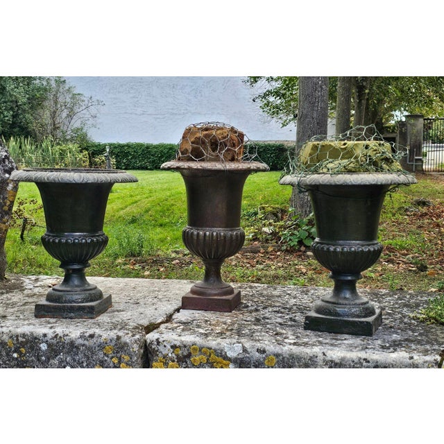 Medici Cast Iron Vases, 1900, Set of 3 For Sale - Image 10 of 10