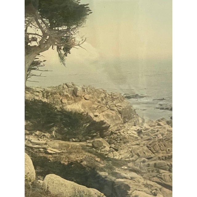 Brown Vintage Framed Tinted Coastal Landscape Photograph of Cypress Trees on Rocky Shoreline. For Sale - Image 8 of 10