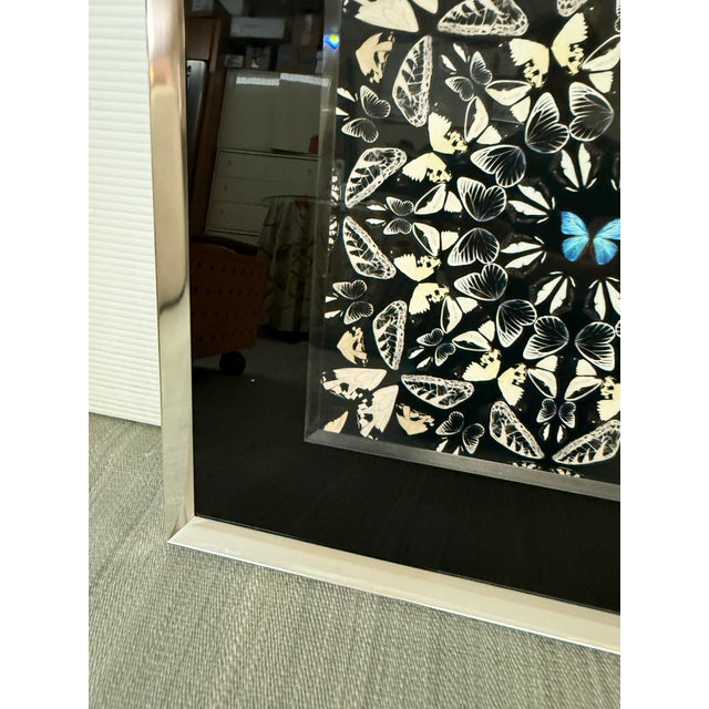 Laitan Home Decorations Butterfly Print Art Work, Framed For Sale - Image 10 of 12