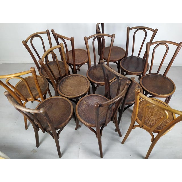 Bistro Chairs from Baumann, 1890s, Set of 12 For Sale - Image 4 of 18