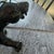 Black Vintage MCM Stalking Black Panther Figure Glossy For Sale - Image 8 of 11