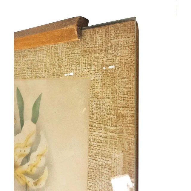 1940s Pos War Hawaiian Airbrush Casablanca Lily on Paper Framed For Sale In Los Angeles - Image 6 of 7