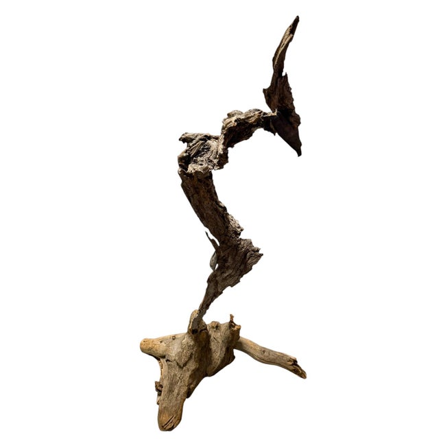 Late 20th Century Signed Lubomir Tomaszewski Monumental Wood and Copper Bird Sculpture, 45 Inches For Sale In Portland, ME - Image 6 of 15