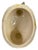 Antique French Desvres Majolica Hen on Nest Covered Dish Francis Masse For Sale - Image 9 of 11